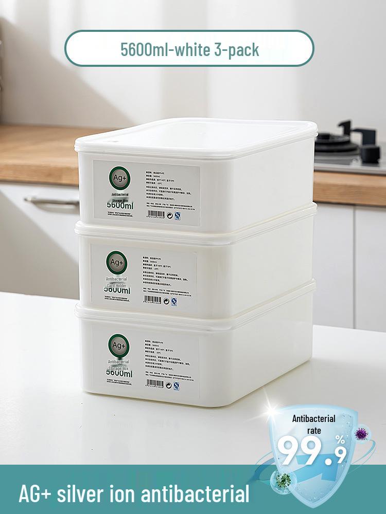 Large Capacity Fresh-Keeping Storage Box for Steamed Buns and Dumplings