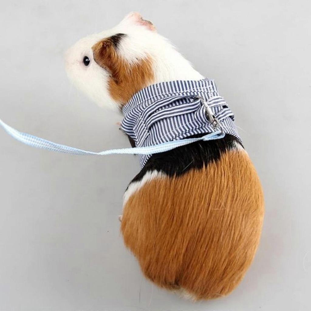 Small Pet and Leash for Guinea Pigs, Lightweight, Comfortable,, Sizes S 18-24cm & L 24-27cm