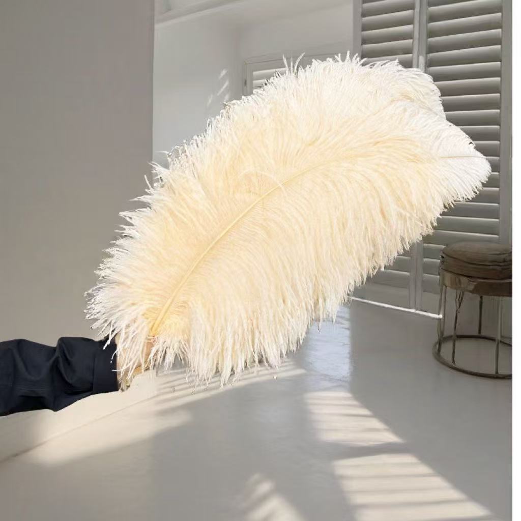1pcs Ostrich Hair 65-70Cm Photo Feather Wall Wedding Road Guide Decorative Props Colored Feathers