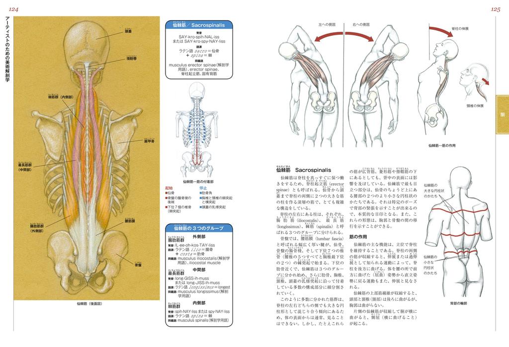 Artistic Anatomy for Artists