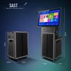 SAST Professional KTV & Conference Line Array Audio System CN plug (adapter included)