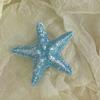 5PCS Girls Hairpin with Simulated Starfish Shape Hair Clip Stable Grip Macaron Colors Hair Accessory for Beach