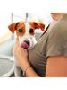 Toothpaste for dogs and cats Virbac Enzymatic Toothpaste dogs-cats, 70 g.