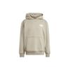 adidas Originals Premium Graphic French Terry Hoodie Men Pebble Grey IV9697