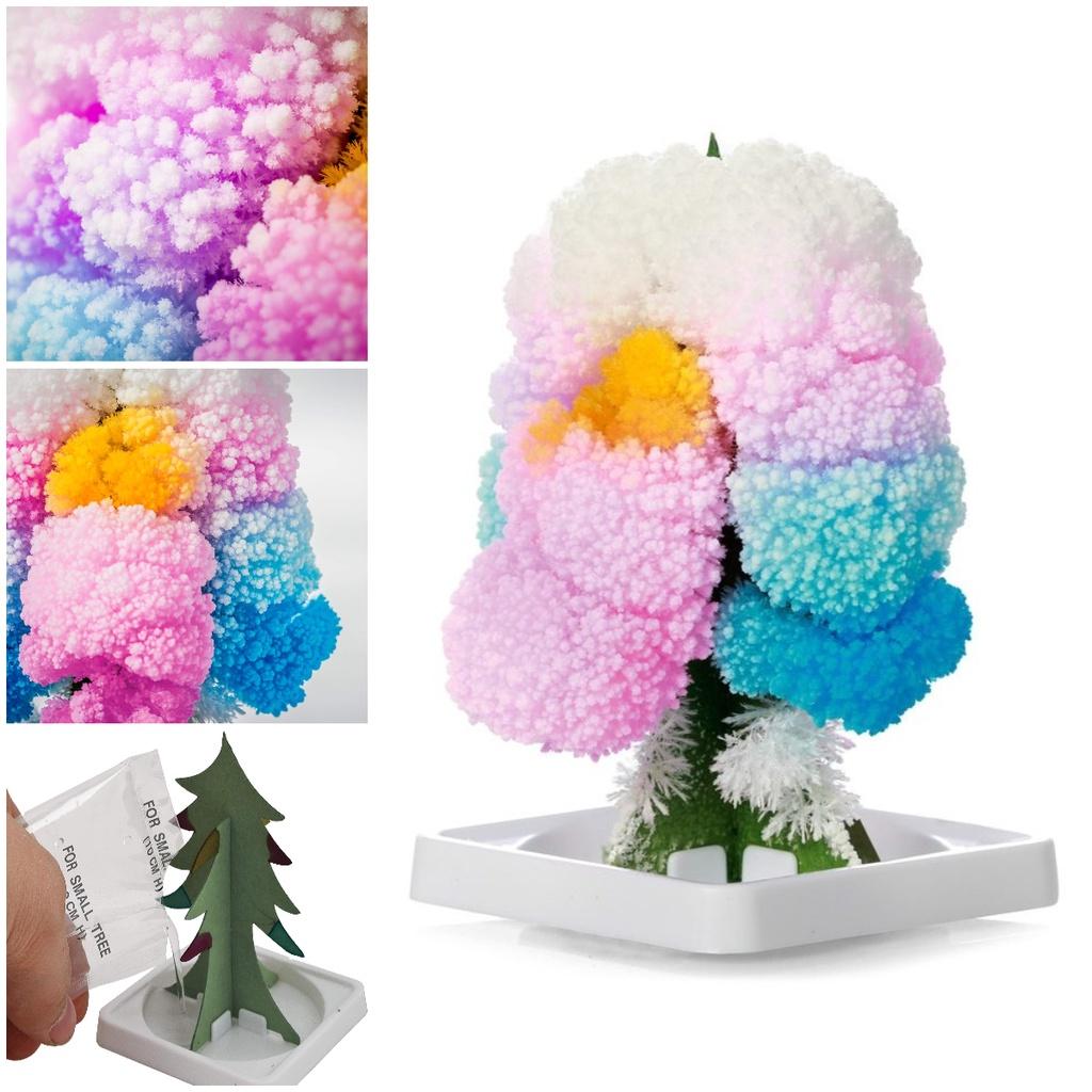 Paper Tree Magic Tree Amazing Flowering And Crystal Growing Toy For Kids