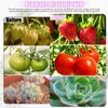 Dimmable Full Spectrum LED Grow Light with Timer and Clip for Succulents and Sunlight Imitation