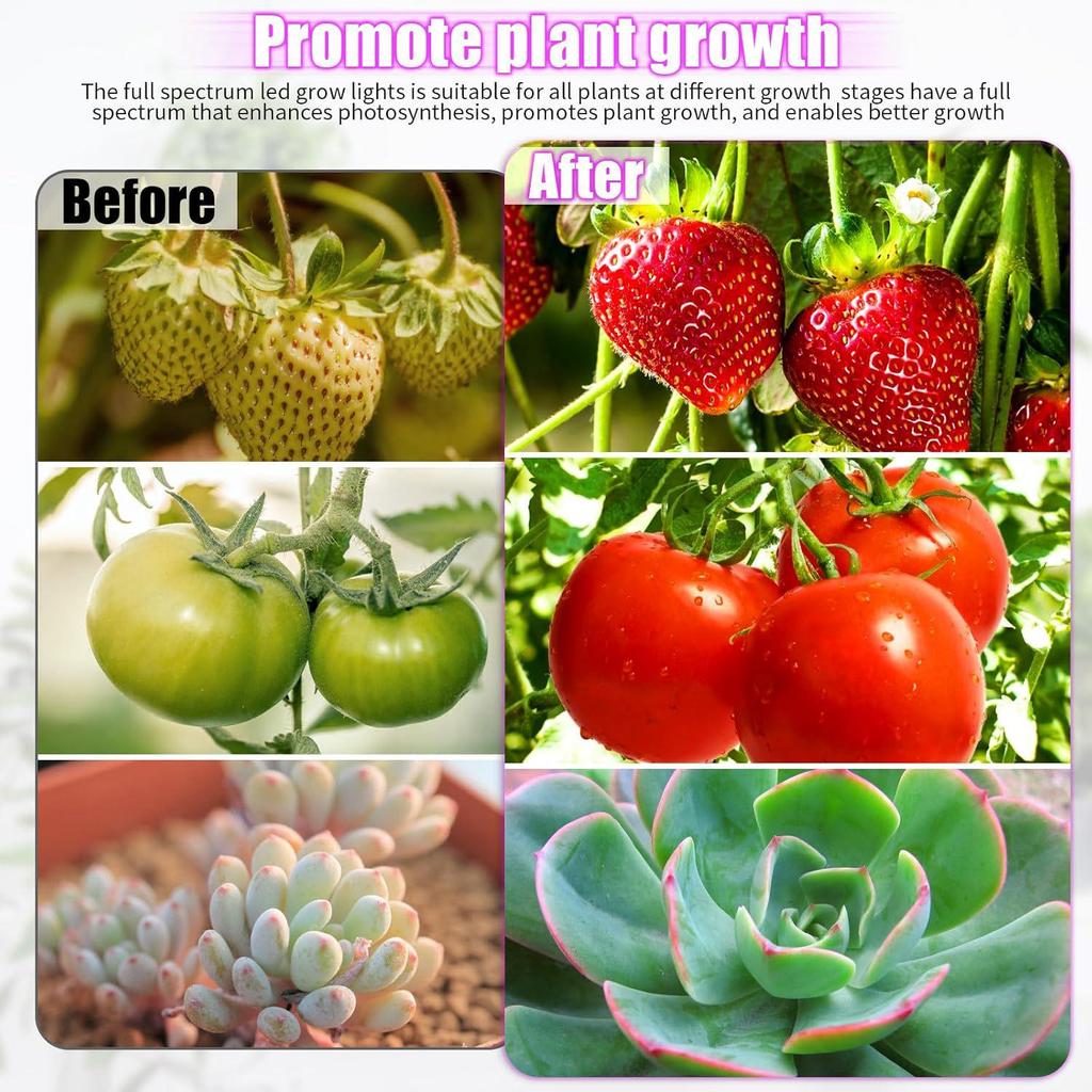 Dimmable Full Spectrum LED Grow Light with Timer and Clip for Succulents and Sunlight Imitation