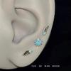 Сережки – Сережки гвоздики