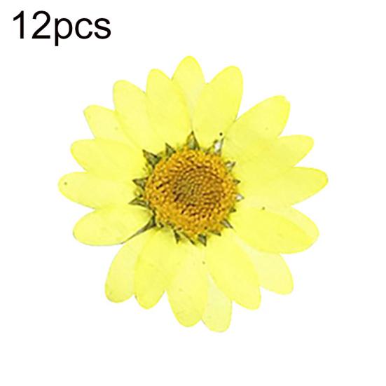 12 sztuk Prasowane Suszone Naturalne Kwiaty Żywica Epoksydowa Crafting Paznokci DIY Dekoracja Telefonu