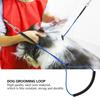 Adjustable Length Grooming Restraint Single Buckle Steel Wire Loop  Table Fixing
