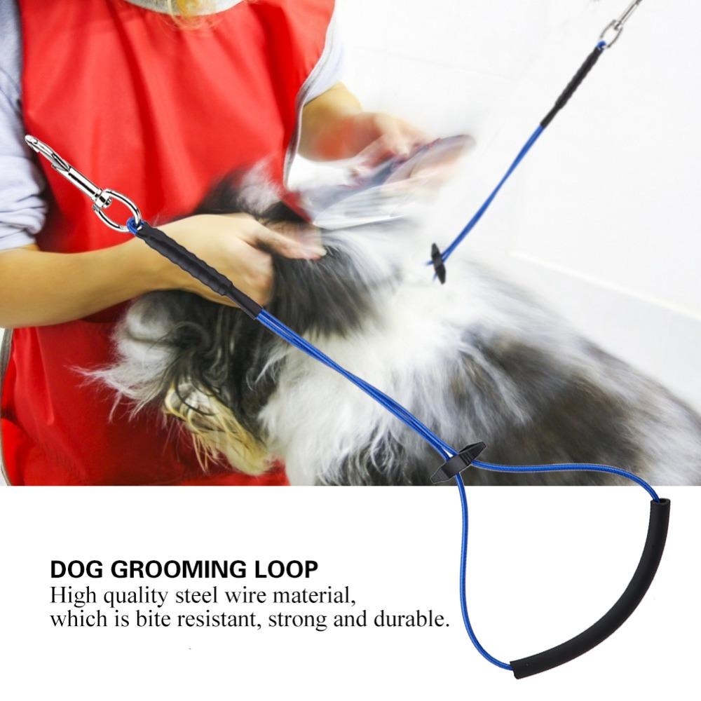 Adjustable Length Grooming Restraint Single Buckle Steel Wire Loop Table Fixing
