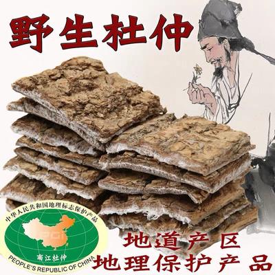Eucommia Ulmoides 250g Herbata Ziołowa Natural Health