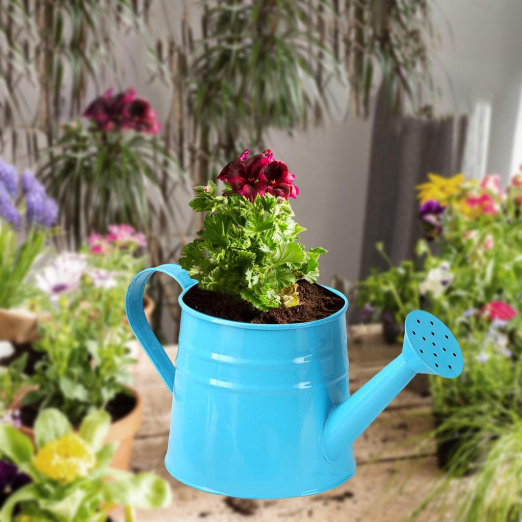 Mini Watering Can Flower Pot 24.4 X 11.4 Cm Flower Container for Patio Bathroom