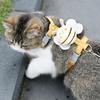 Kleine Biene Katzengeschirr Verstellbares Kätzchengeschirr mit Leine Süßes Bienen-Katzengeschirr für Kätzchen Erwachsene Katzen Sichere Spaziergänge im Freien