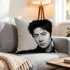 Star Wang Yibo Cushion Cover Pcs Decorative Covers Soft Cushion Case for Sofa Couch Decor x x Pillowcases