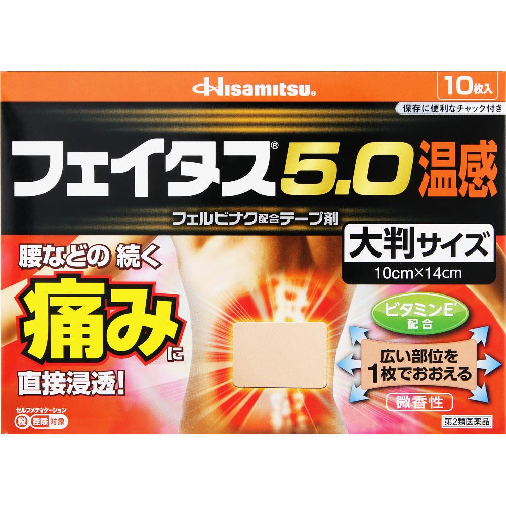 Hisamitsu Pharmaceutical Fitas 5.0 Warm Sensation Large Size 10 Sheets Plasta (Warming) Paste Indications: Joint Pain, Muscle Pain, Lower Back Pain, T
