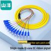 SAMZHE Telecom-Grade 12-Core Fiber Optic Bundled Pigtail