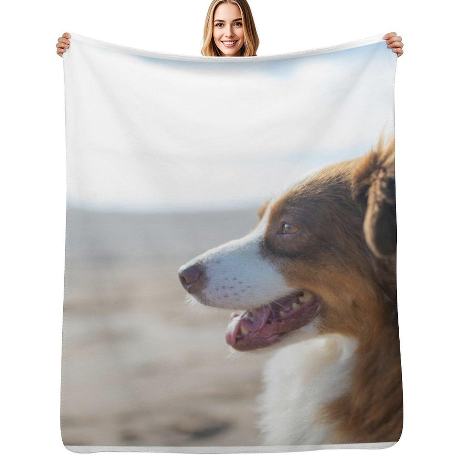 Australian Shepherd At The Beach Throw Blanket Stylish Decor Blanket Gift for Friends Roommate Size: 75*100cm, Weight: 230 GSM