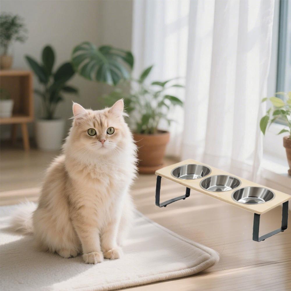 Elevated Cat Bowls with 3 Stainless Steel Bowls 15° Tilted Anti-Vomiting Raised Cat Food Bowl for Small Cats Puppies Accessories