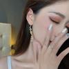 Silver Needle Fashion Temperament Asymmetrical Diamond-set Letter Earrings New Personalized Jewelry Women
