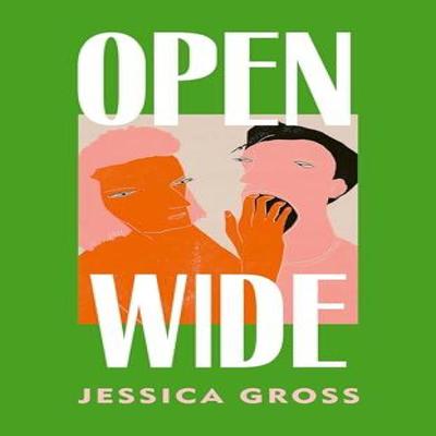 Open Wide by Jessica Gross Hardback Book 9781787305021