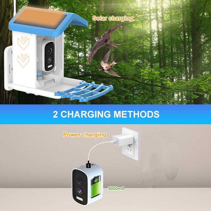 Smart Solar Bird Feeder with 4MP HD Camera & AI Bird Identification