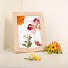 Kikkerland Framing Kit - HB02-F - HUCKLEBERRY PRESSED FLOWER FRAME ()