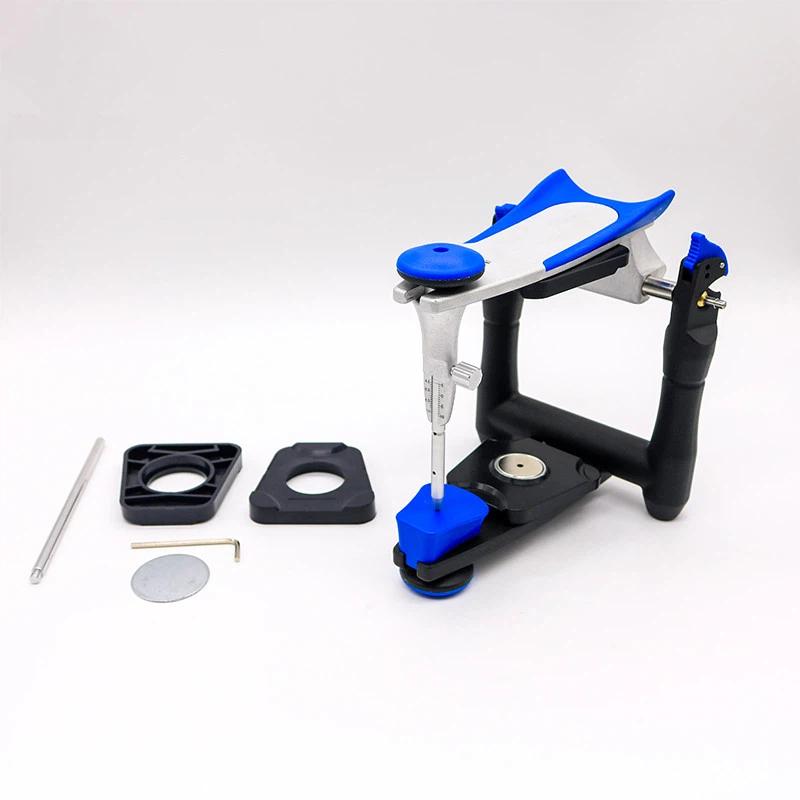 Dental Artex BN Model Functional Articulator Teeth Model Accurate Scale Plaster Model Dentistry Lab Equipment