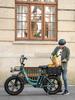 ENGWE L20 Boost Electric Bike – 250W Motor, 48V13Ah Battery, 126km Range, 20x4.0 Fat Tires, 7-Speed, LCD Display
