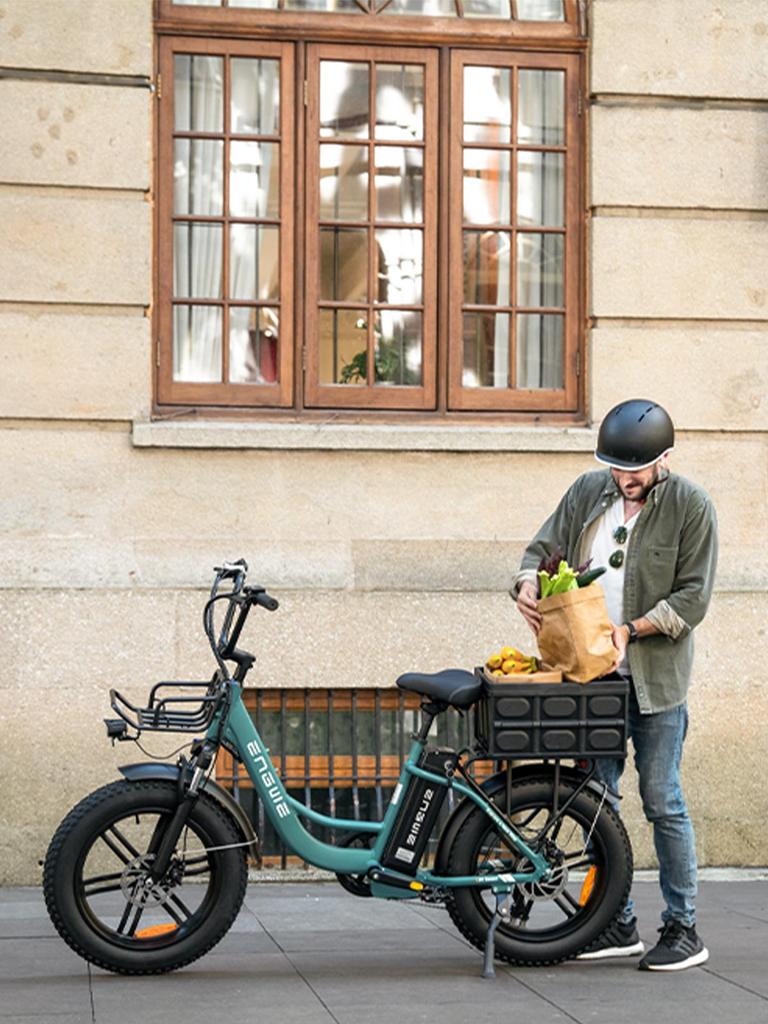 ENGWE L20 Boost Electric Bike – 250W Motor, 48V13Ah Battery, 126km Range, 20x4.0 Fat Tires, 7-Speed, LCD Display