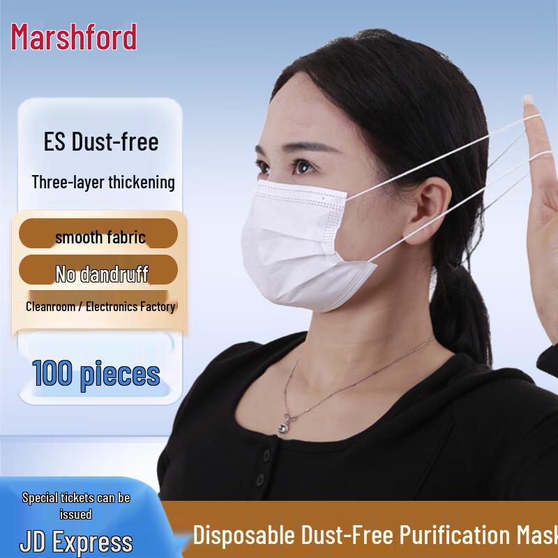 ES Disposable Cleanroom Face Mask