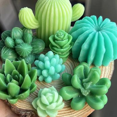 Mold pentru lumânări pentru plante suculente, pentru simulare, pentru cactus, din silicon, lumânare parfumată cu flori drăguțe, aromă, tencuială, fabricarea săpunului, decorarea casei