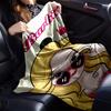 1pc Barbie Crown Flannel Blanket Soft Warm Throw for Home, Office, Travel, All Season Cozy Bedding Gift, Office