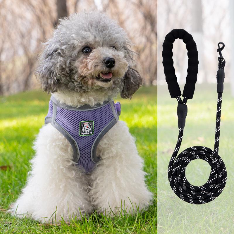 Vest-Style Harness and Leash Set for Small Dogs: Bichon, Teddy, Pomeranian