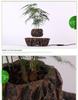 Magnetic Levitation Potted Plant Ornament - Creative Home Décor & Gift