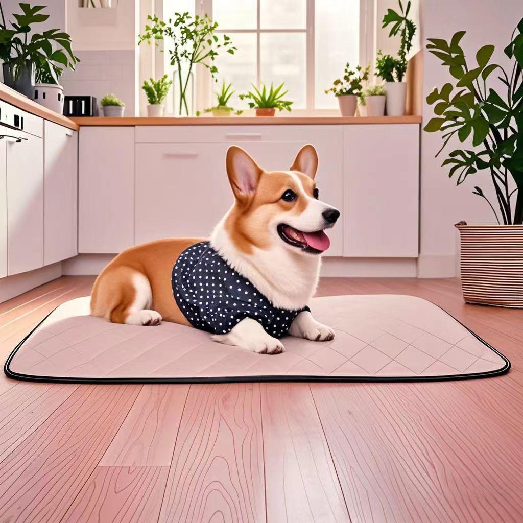 

Впитывающая, Дышащая, Нескользящая Моющаяся Пеленка для Дрессировки Собак Birdseye Cloth 45x60cm (0.135kg)