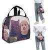 John Pork Insulated Lunch Bag for Women Kids Portable Food Boxes Thermal Lunch Box Tote