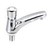 Basin Sink Faucet Push Button Design Water Saving Rugged Reliable Time Delay Faucet For Home Single Cold