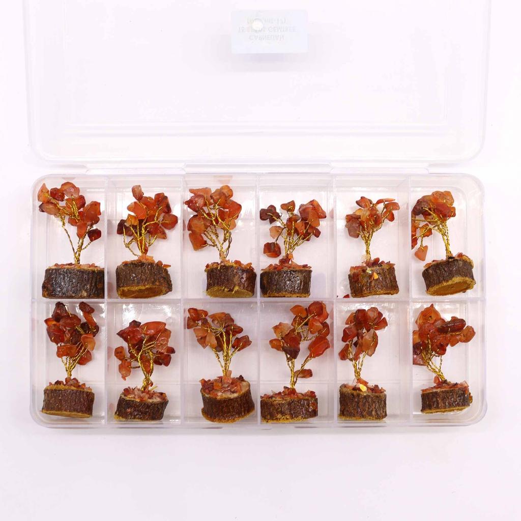 Carnelian Gemstone Tree With Wood Base 15 Stones
