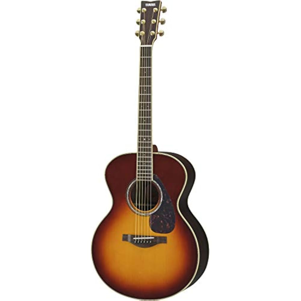 Yamaha acoustic guitar LJ6 are BS equipped with passive type pickup