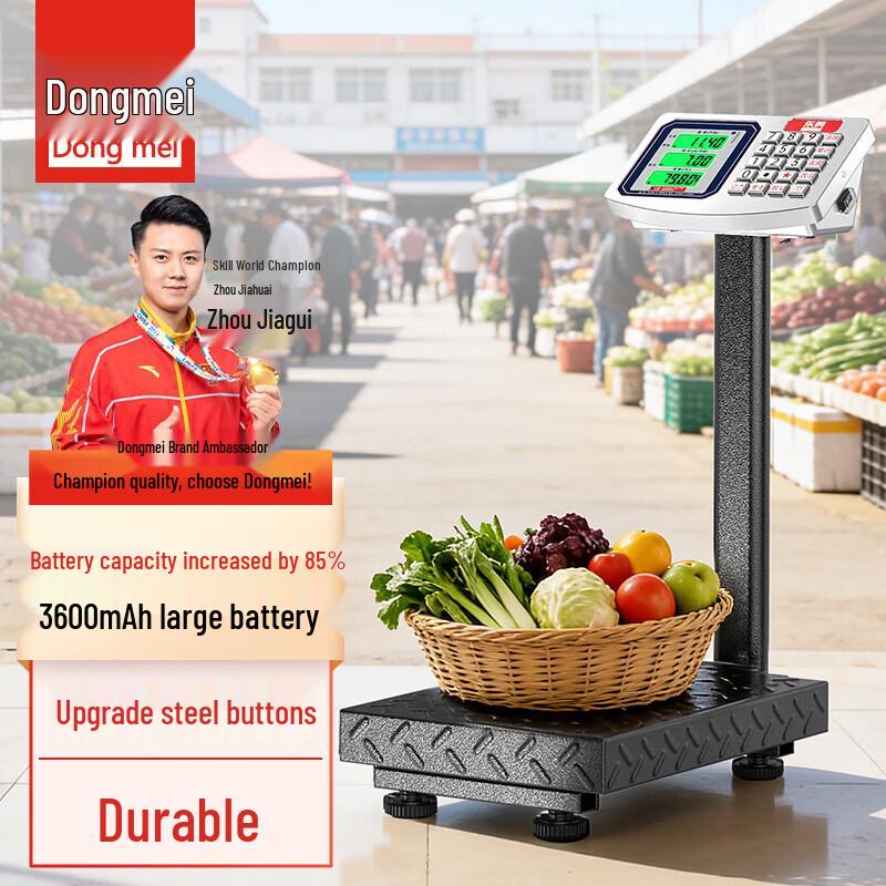 Dongmei Commercial Charging Platform Scale (CN version)