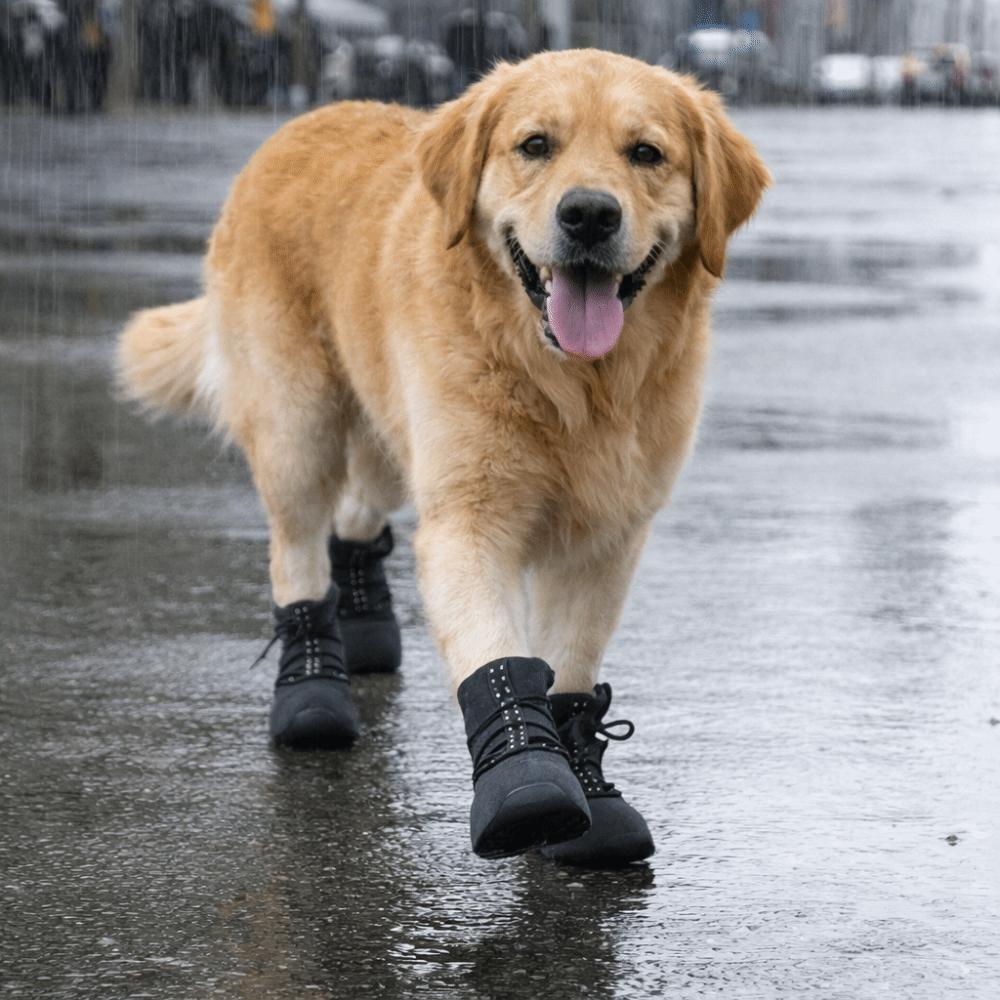 4pcs/set Reflective Waterproof Dog Shoes Warm Wound Recovery Boot  Medium Large Dogs