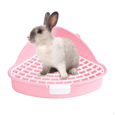 Produse pentru animale – Rozătoare