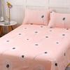 Bed Sheet Thickened Single Product Winter Washed Stylish Simplicity Cotton New Students Dormitory Breathable Comfortable Sheets