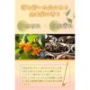 Hono Incense Osmanthus Tenrei Fragrance Long Size Natural Ingredients Aromatic Wood White Sandalwood Purification Cleansing Stick Relaxation 60 Sticks