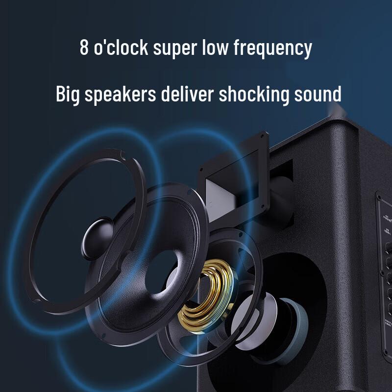 SANSUI TE06 8-inch Portable Karaoke Speaker (CN Version)