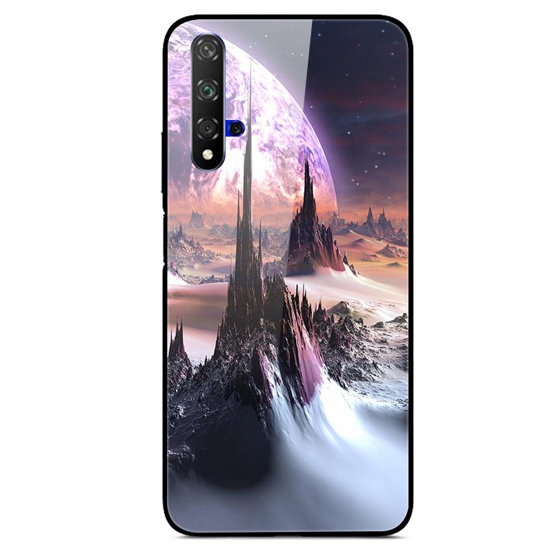 For Huawei Nova 5T Case Tempered Glass Cover 3D Cat Printing Case For Huawei Nova 5T 2019 5 T Phone Case For Huawei Nova5T Cover