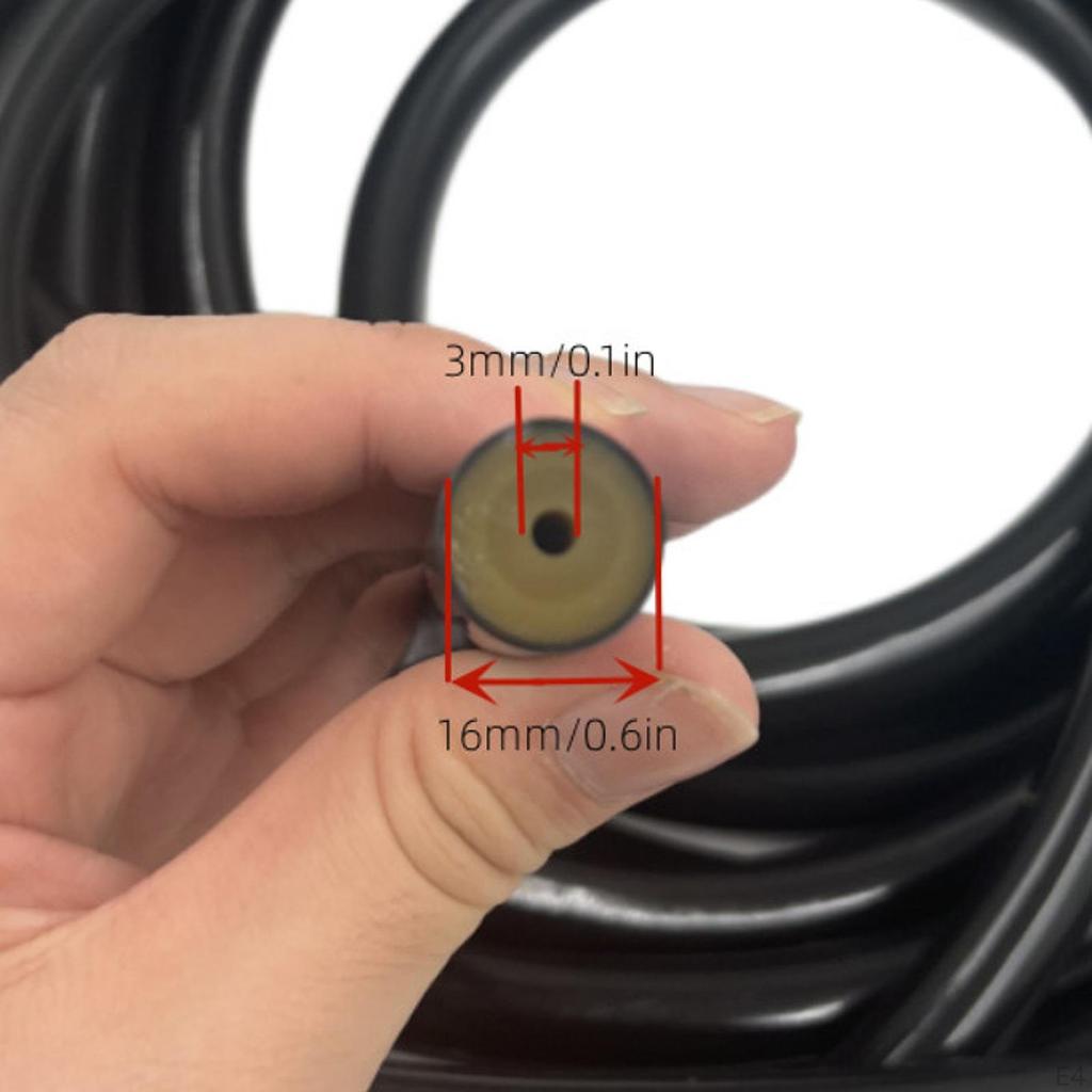 Spearfishing Band Set for Deep Sea Excursions