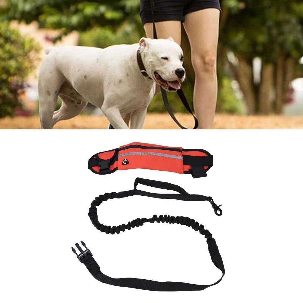 Waistbag Width 10cm Reflective Elastic Anti-Shock Dog Rope Long-distance outdoor pet training красный