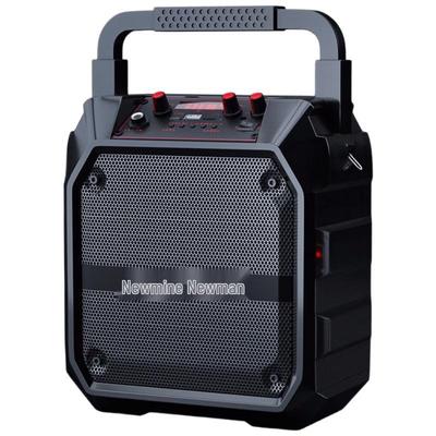 Newmine K97 Portable Bluetooth Speaker with Radio and Payment Announcer CN Plug (adapter Included)